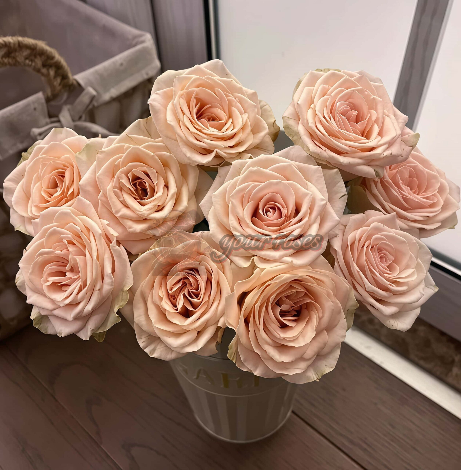 Capodimonte Rose for sale丨Your roses