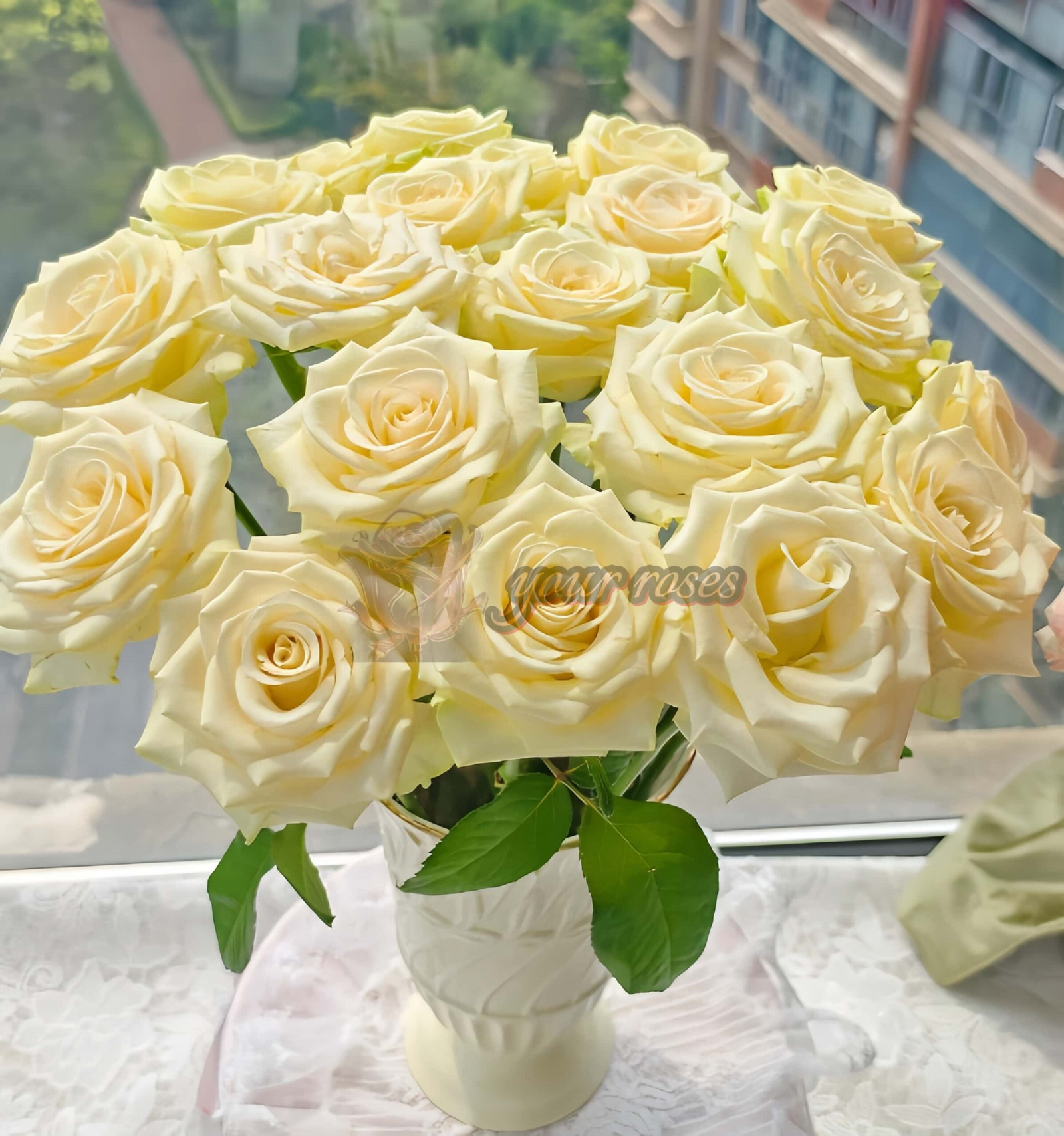 Little Butter Rose plant丨Your roses