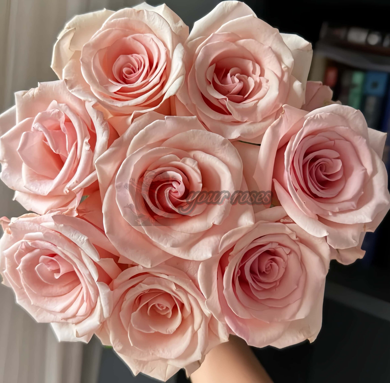 Peach Flavor Rose丨Your roses