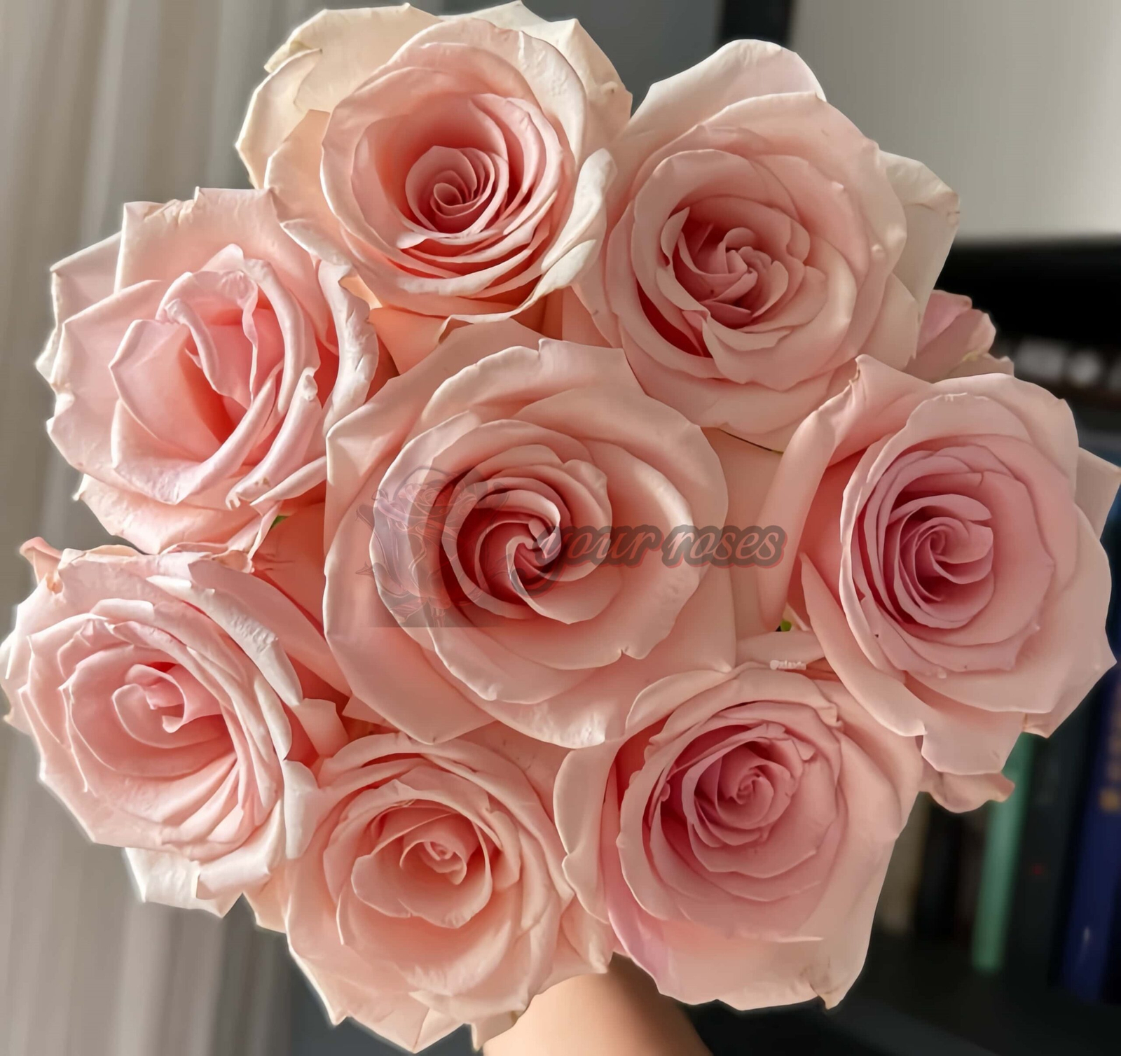 Peach Flavor Rose丨Your roses