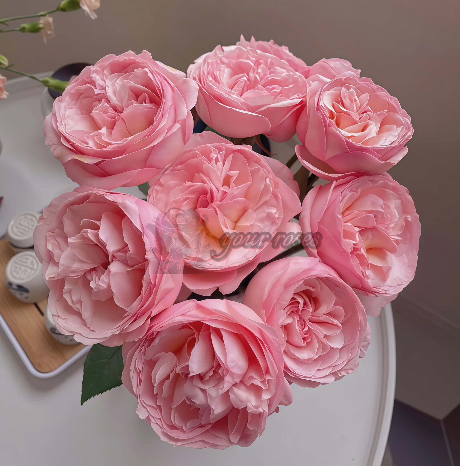 Randra Rose for sale丨Your roses