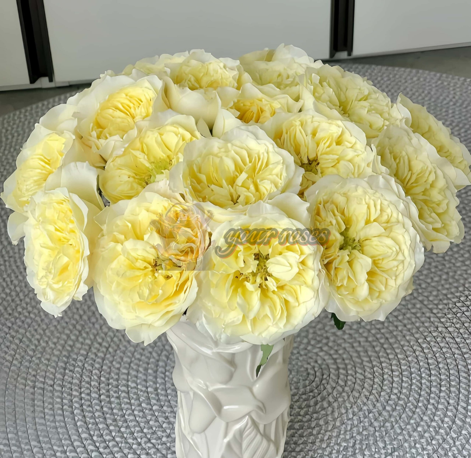 Asphyxiation Rose丨Your roses