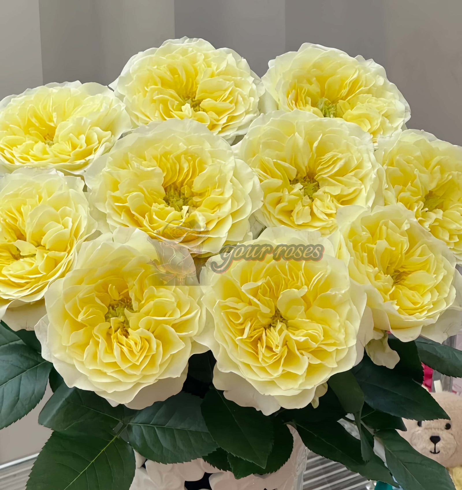 Asphyxiation Rose丨Your roses