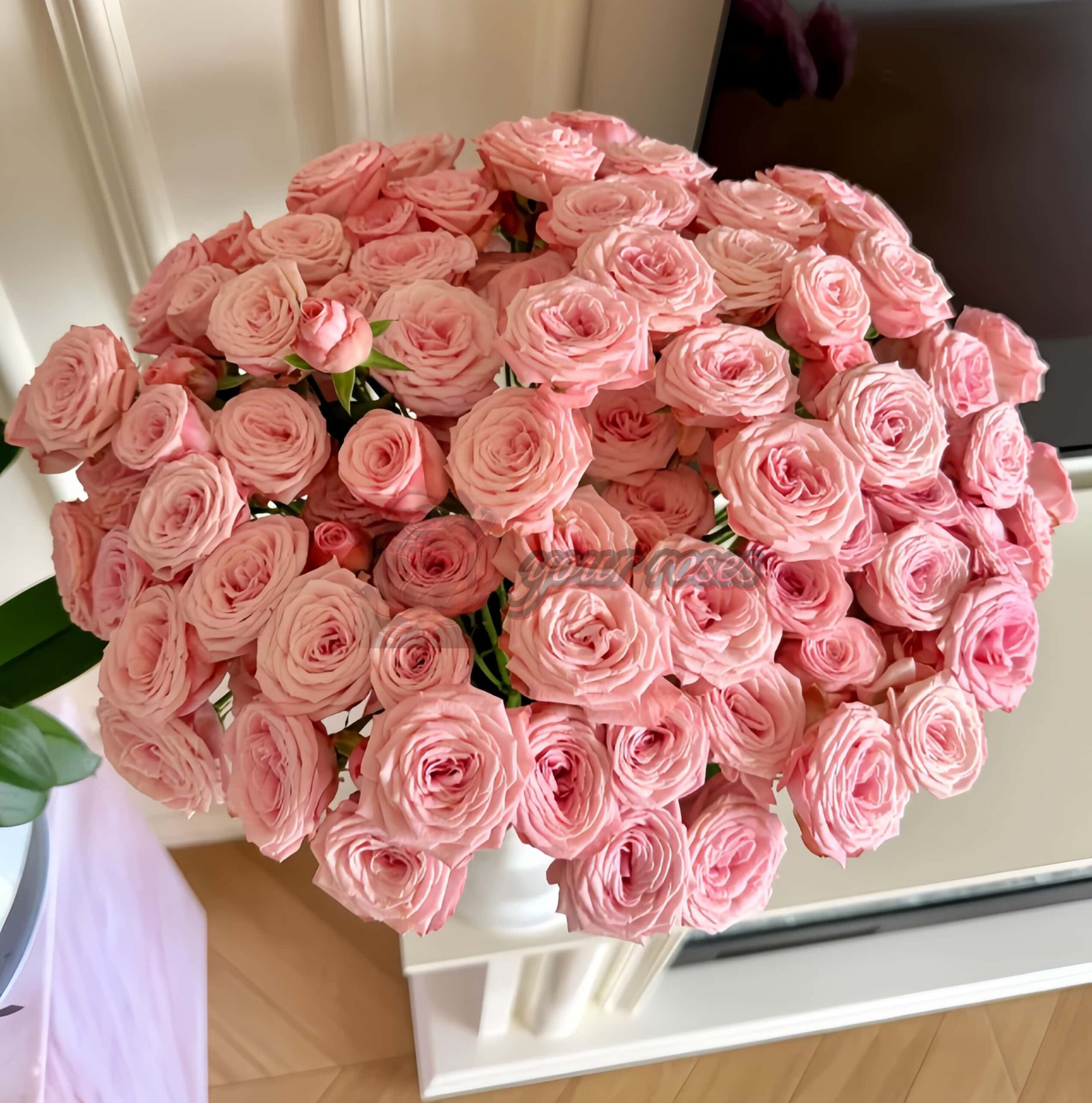 Birds Nest Rose丨Your roses