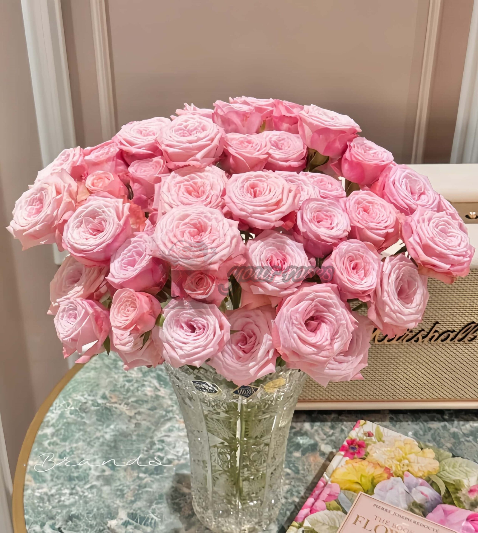 Birds Nest Rose for sale丨Your roses