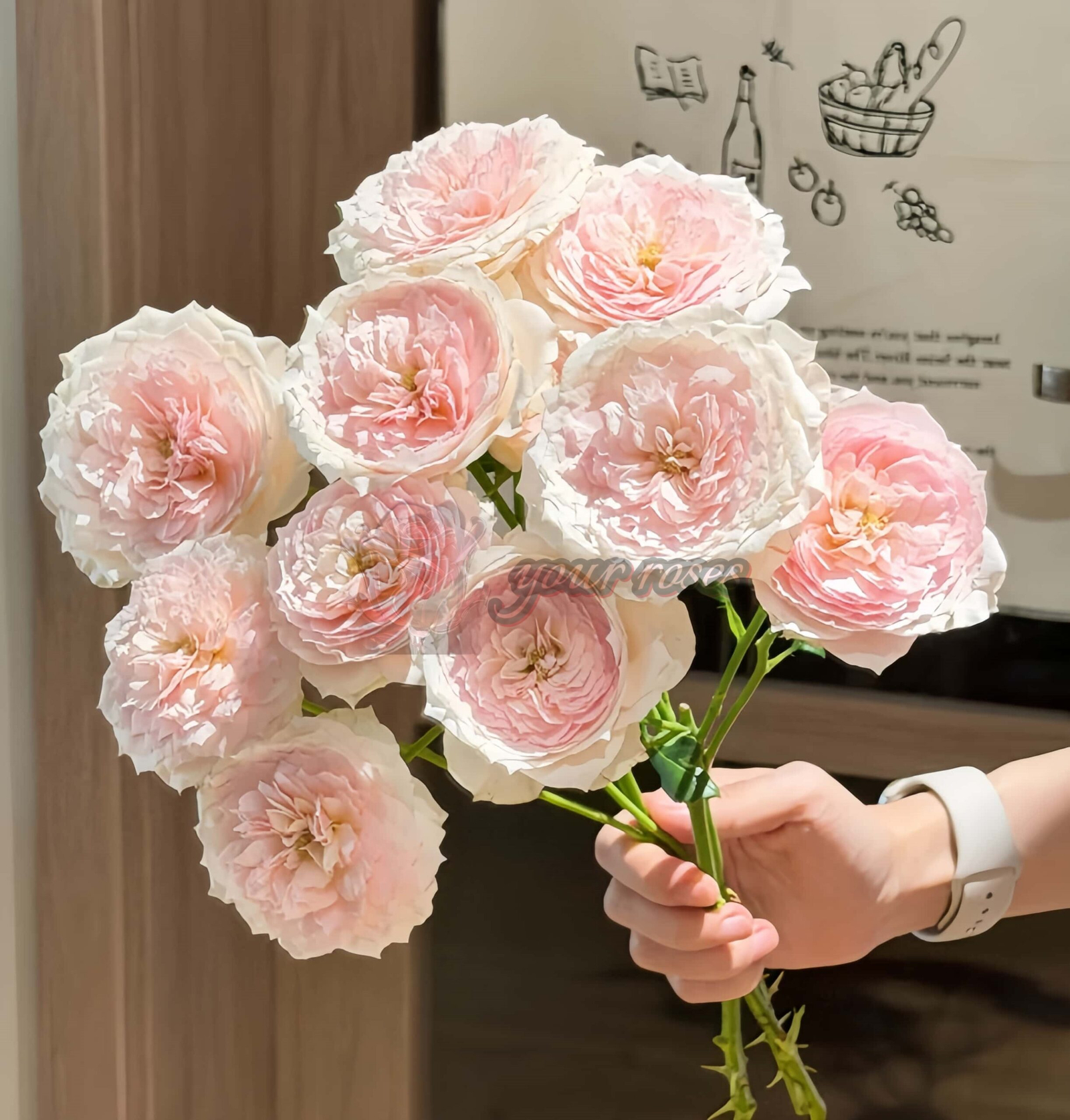 Miss Dior Rose丨Your roses