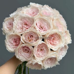 Miss Dior Rose丨Your roses