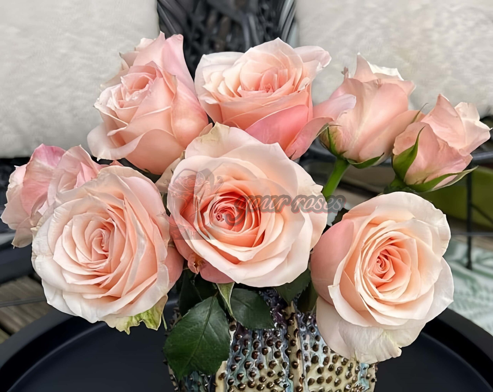 Pretty Pillow Rose丨Your roses