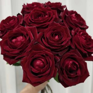 Zhu Ying Rose丨Your roses